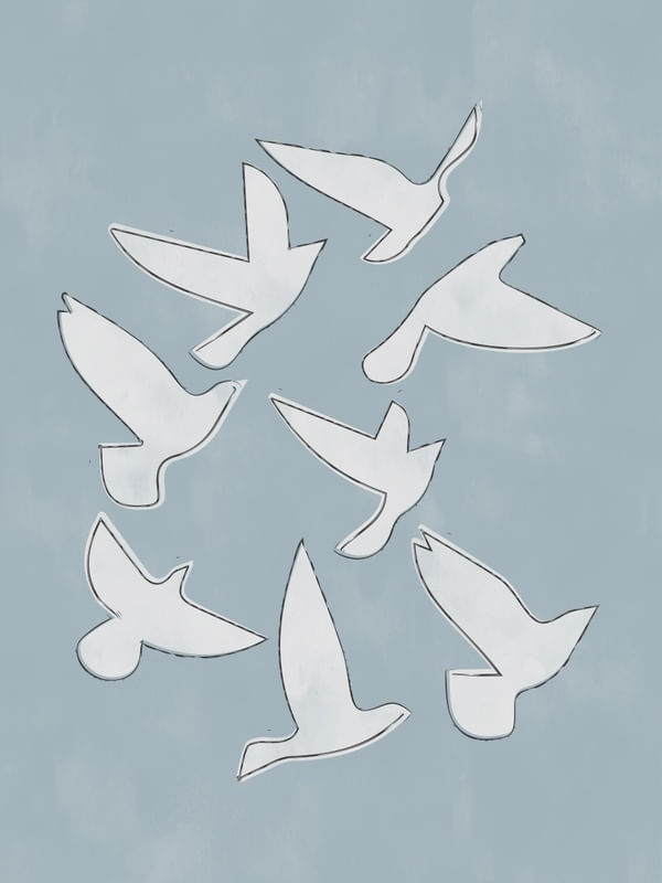 FLOCK