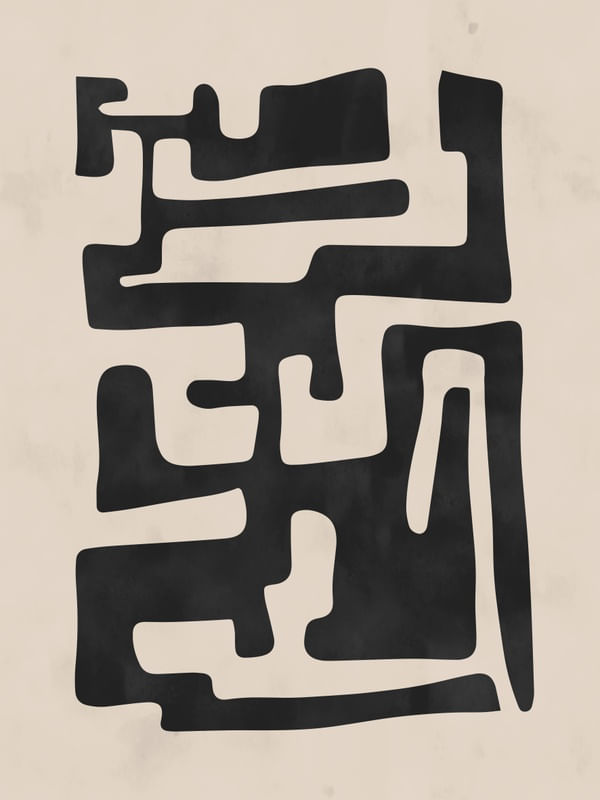 THE MAZE