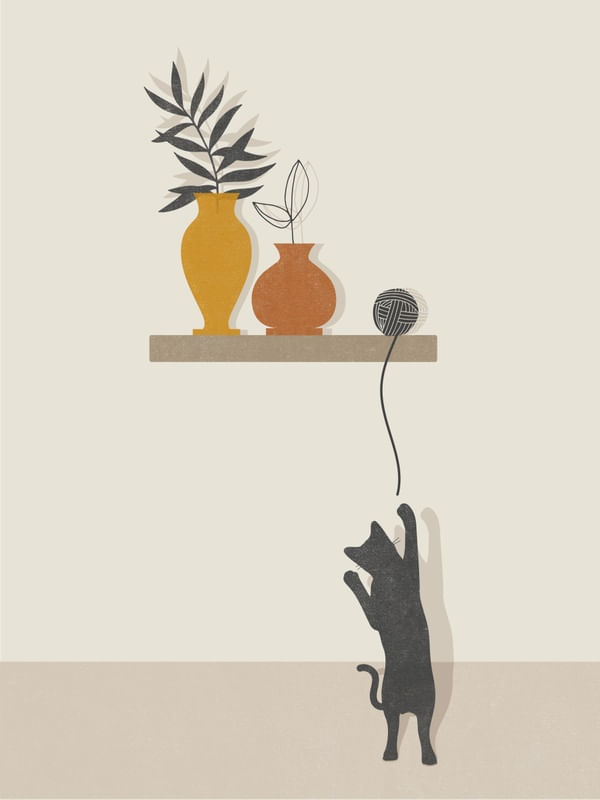 SCRATCH, THE CAT