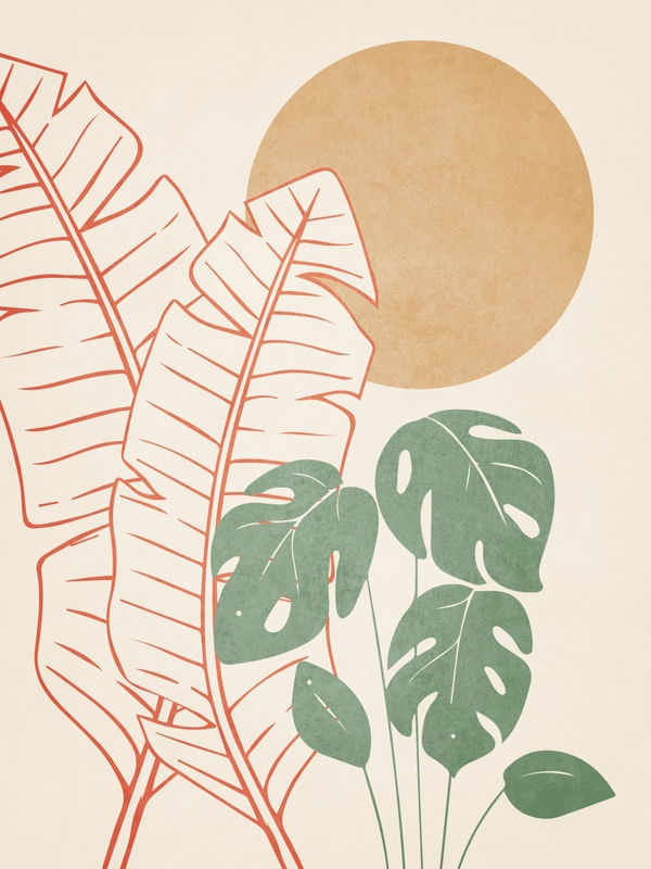 BANANA LEAVES 1