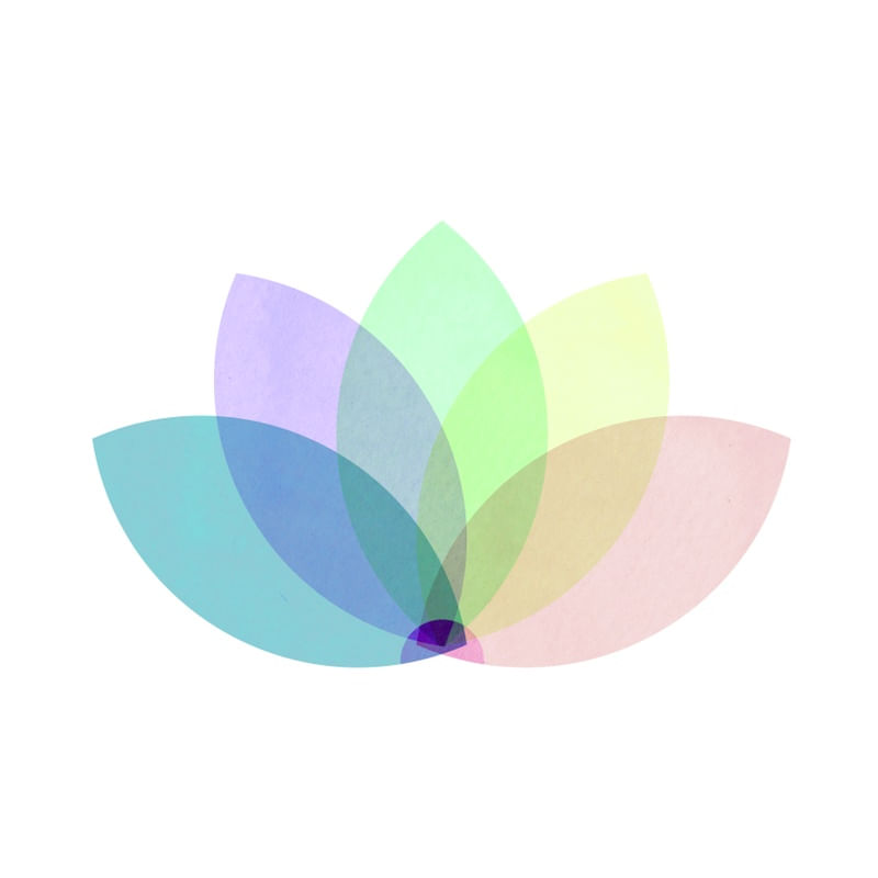 LOTUS FLOWER COLORS