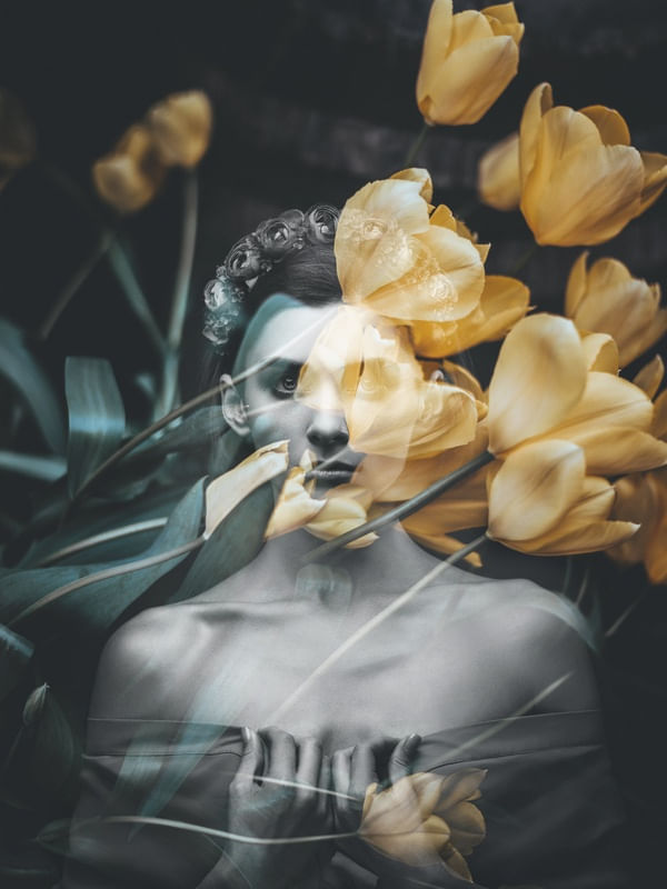 DAISY YELLOW