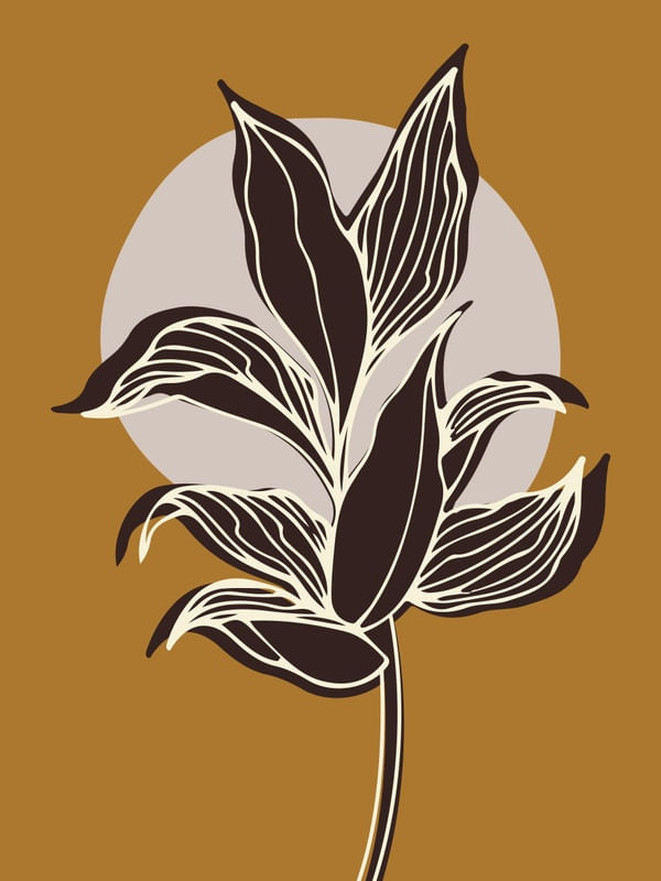 SOLANACEAE