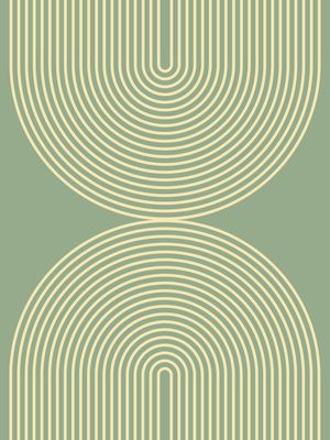 LOOP II