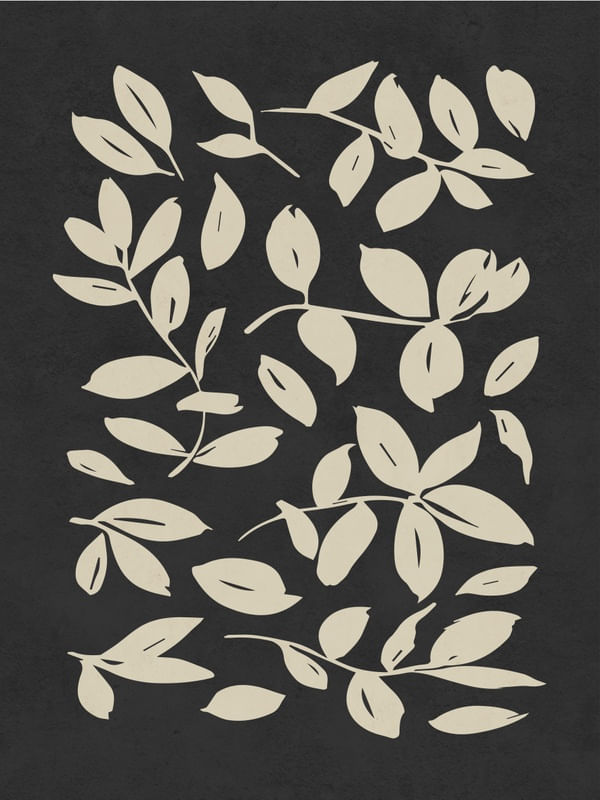 FLORAL FRAME