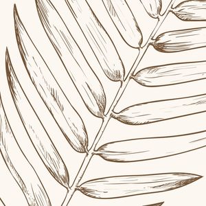 FULL LEAF I Q