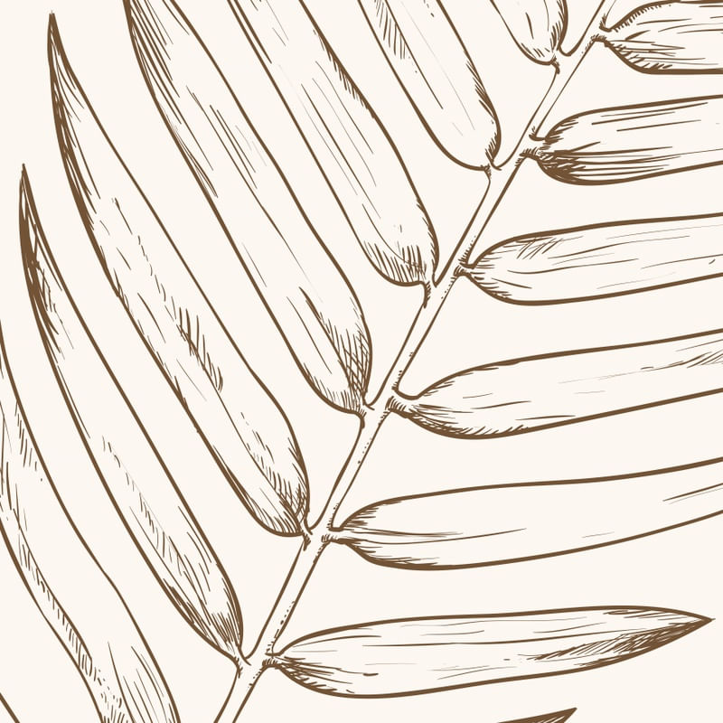 FULL LEAF I Q