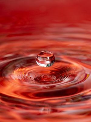 GOTA - 2