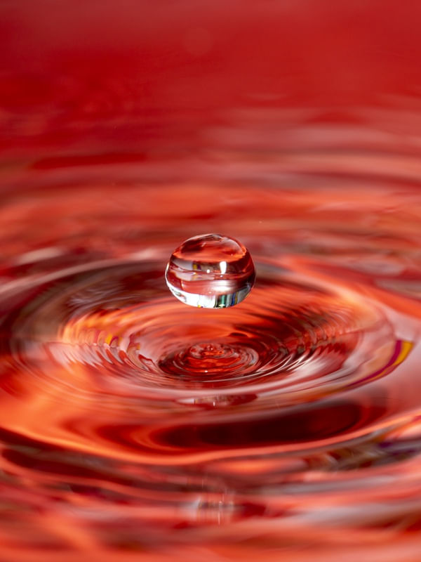GOTA - 2
