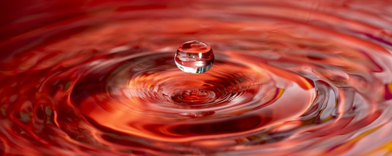 GOTA - 3