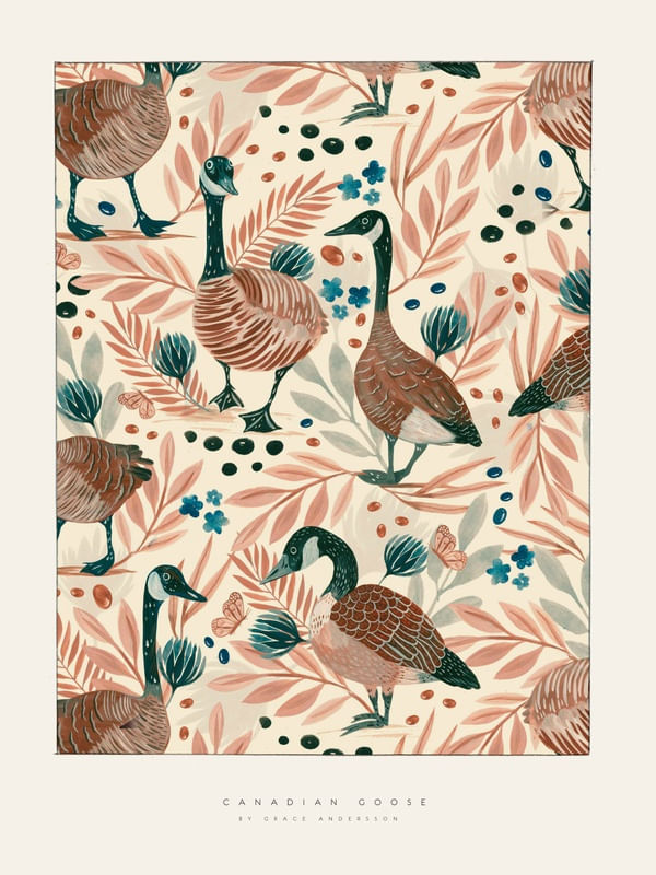 GRACE ANDERSSON - CANADIAN GOOSE