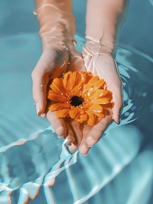 ORANGE FLOWERS BY AI