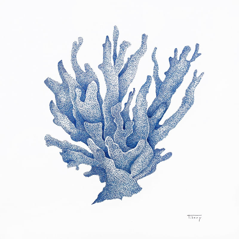 CORAL AZUL