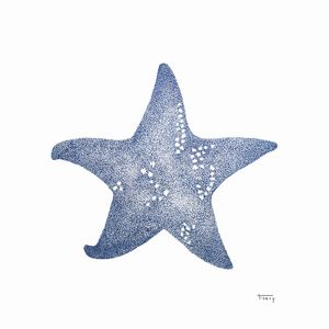 ESTRELA DO MAR AZUL