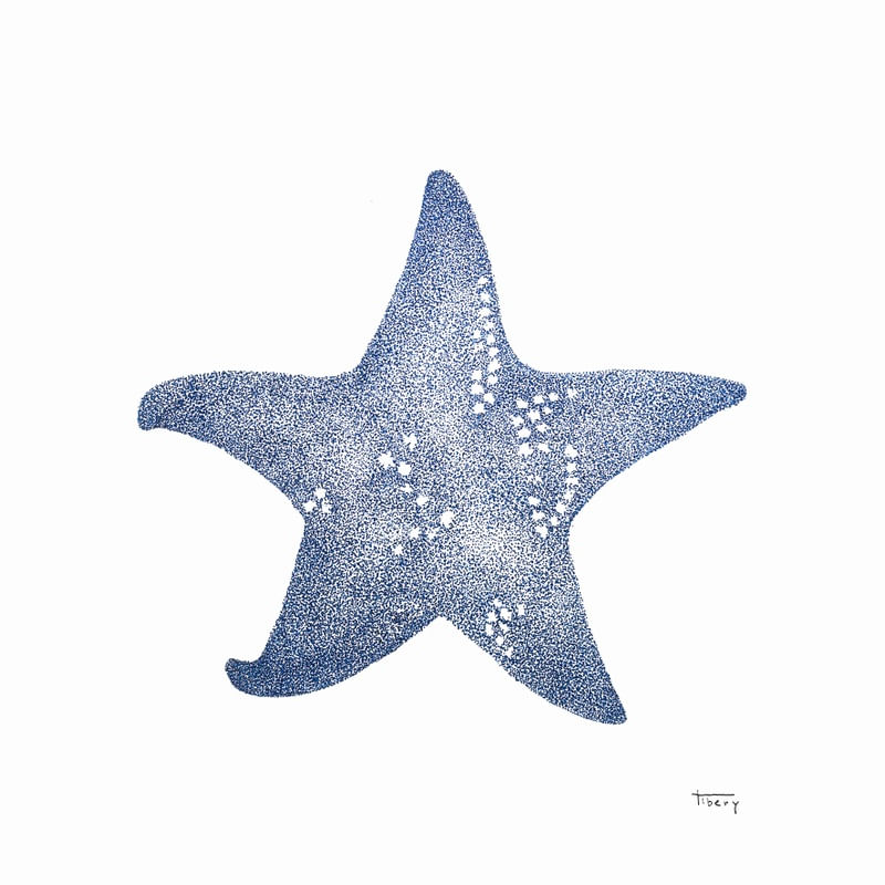 ESTRELA DO MAR AZUL