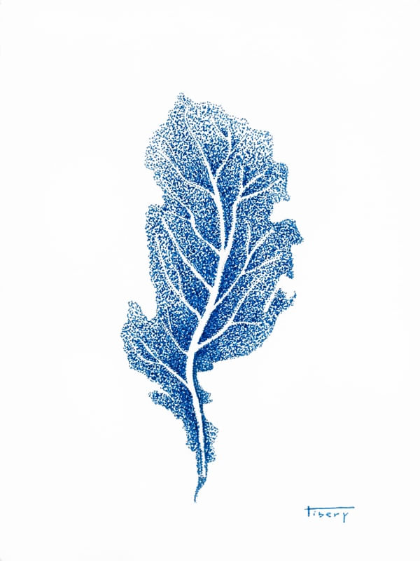 FOLHA SECA AZUL