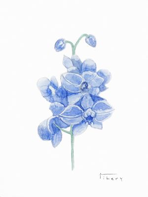 ORQUÍDEA AZUL AQUARELA