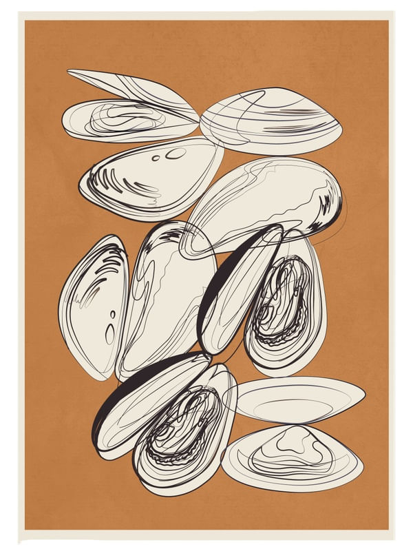 MUSSELS 2