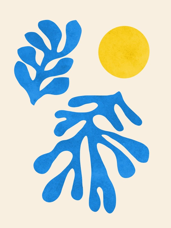 FLORAL ORGÂNICO 23