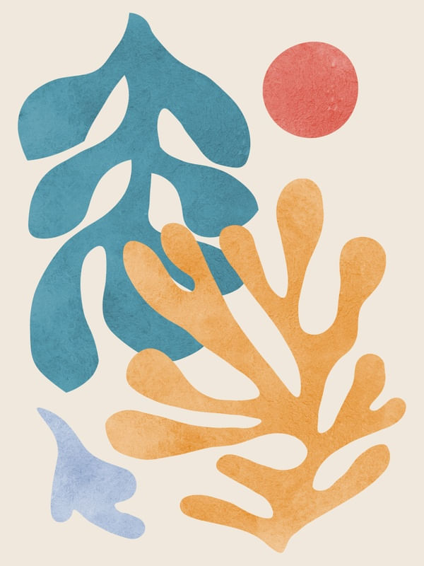 FLORAL ORGÂNICO 24