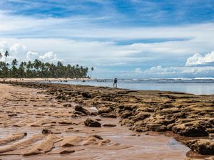 PRAIA DO FORTE - BAHIA - 2