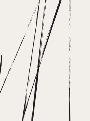 MINIMALISMO CONTEMPORÂNEO