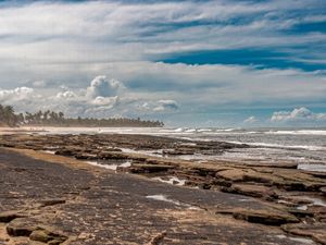 PRAIA DO FORTE - BAHIA - 7