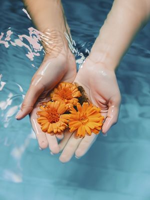 ORANGE FLOWERS 2 BY AI