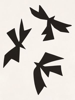 BLACK BIRD - MATISSE