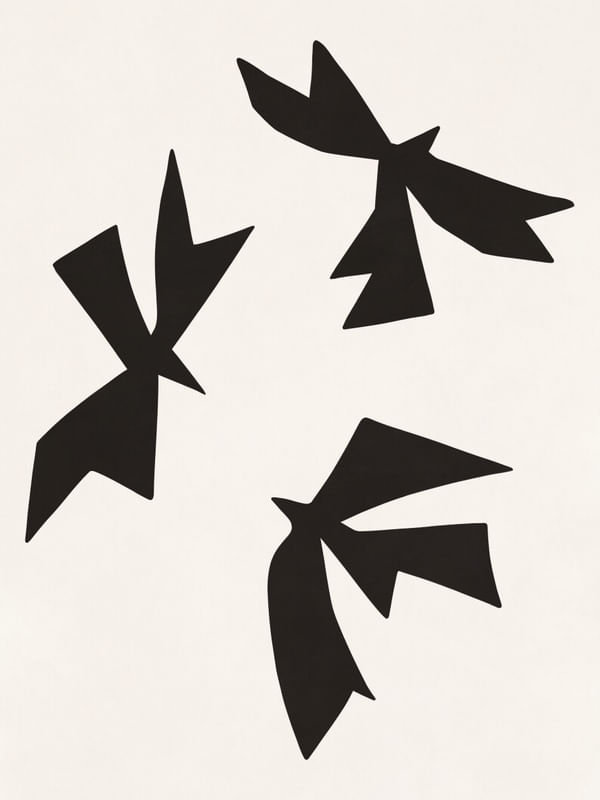 BLACK BIRD - MATISSE