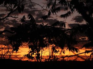 POR DO SOL ALARANJADO