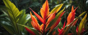 PLANTA TROPICAL CAETÉ BY AI