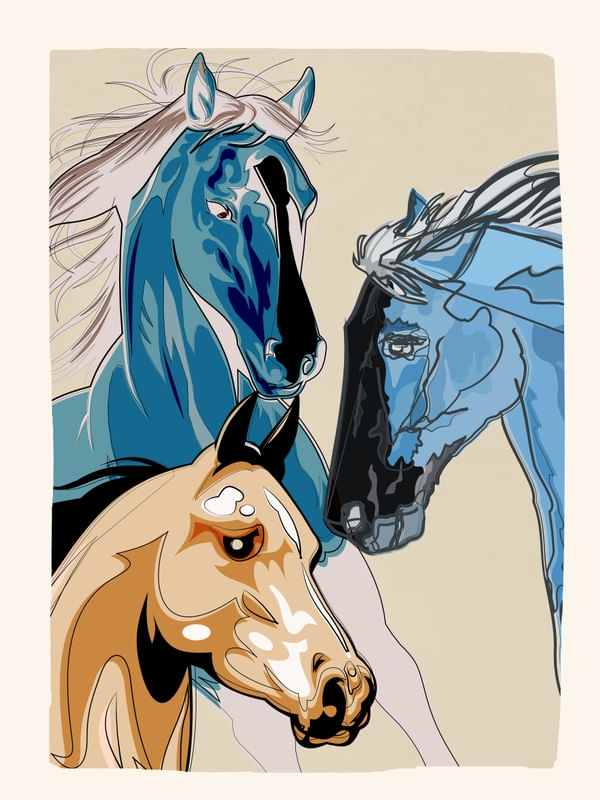 HORSES 1