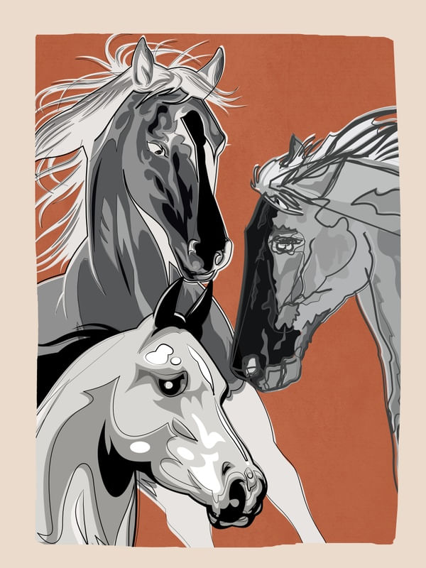HORSES 2