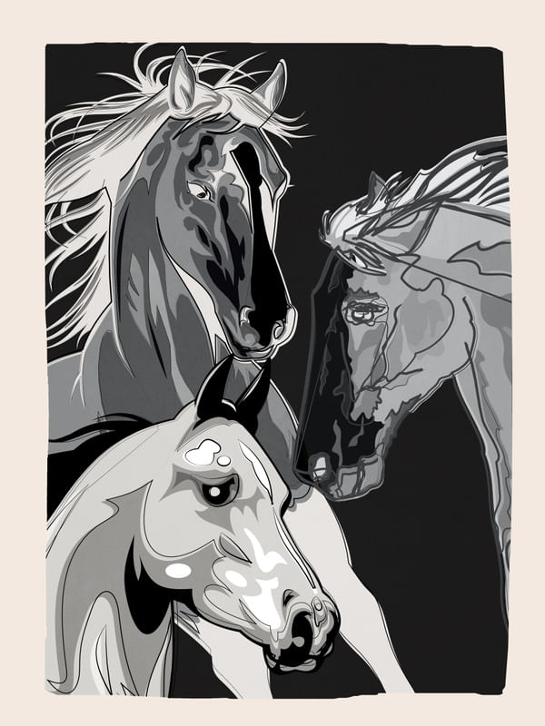 HORSES 3