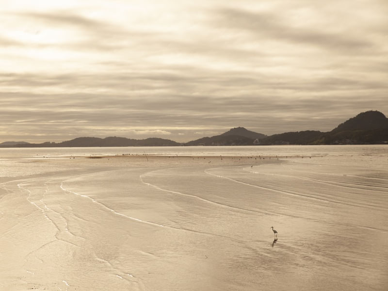 O MAR E AS MONTANHAS
