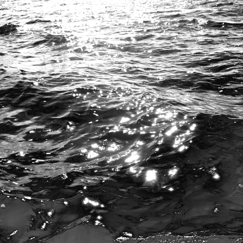 BLACK SEA 5