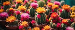 CACTOS COM FLORES BY AI
