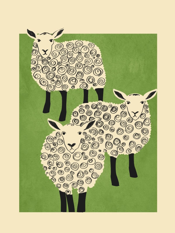 ABSTRACT SHEEP 2