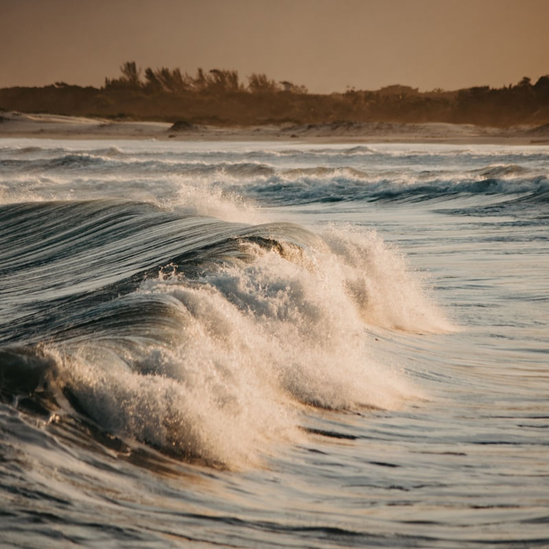 NATUREZA: MAR E OUTONO I
