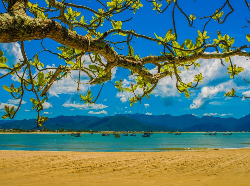 PINHEIRA BEACH