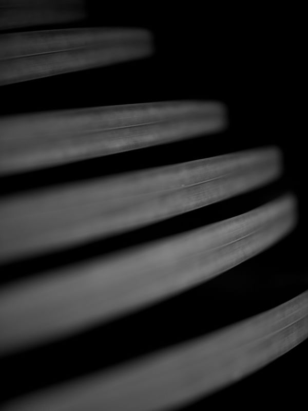 PALMEIRA MINIMAL I PB