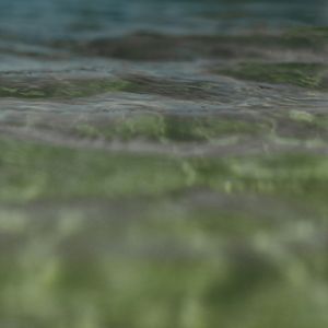 MAR 2022-8Q