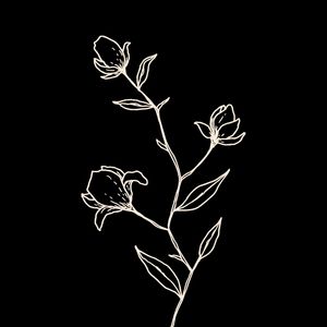 FLORWHITE