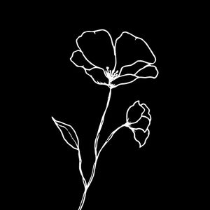 FLORWHITE II