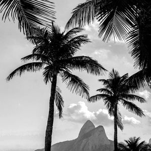 RIO DOIS IRMAOS