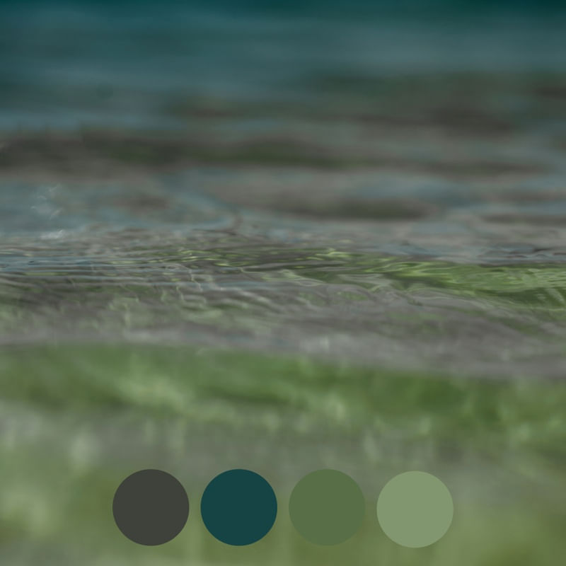 PANTONE MAR 2022-4