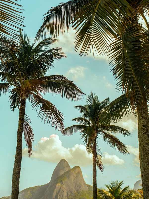 RIO DOIS IRMÃOS II - RIO DE JANEIRO