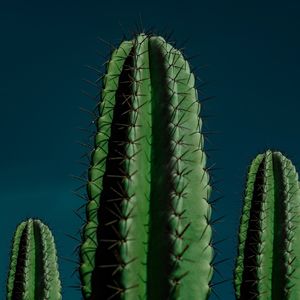 CACTO | CACTUS II