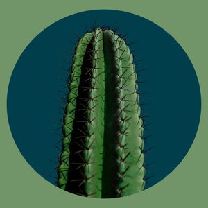 CACTO | CACTUS - GREEN